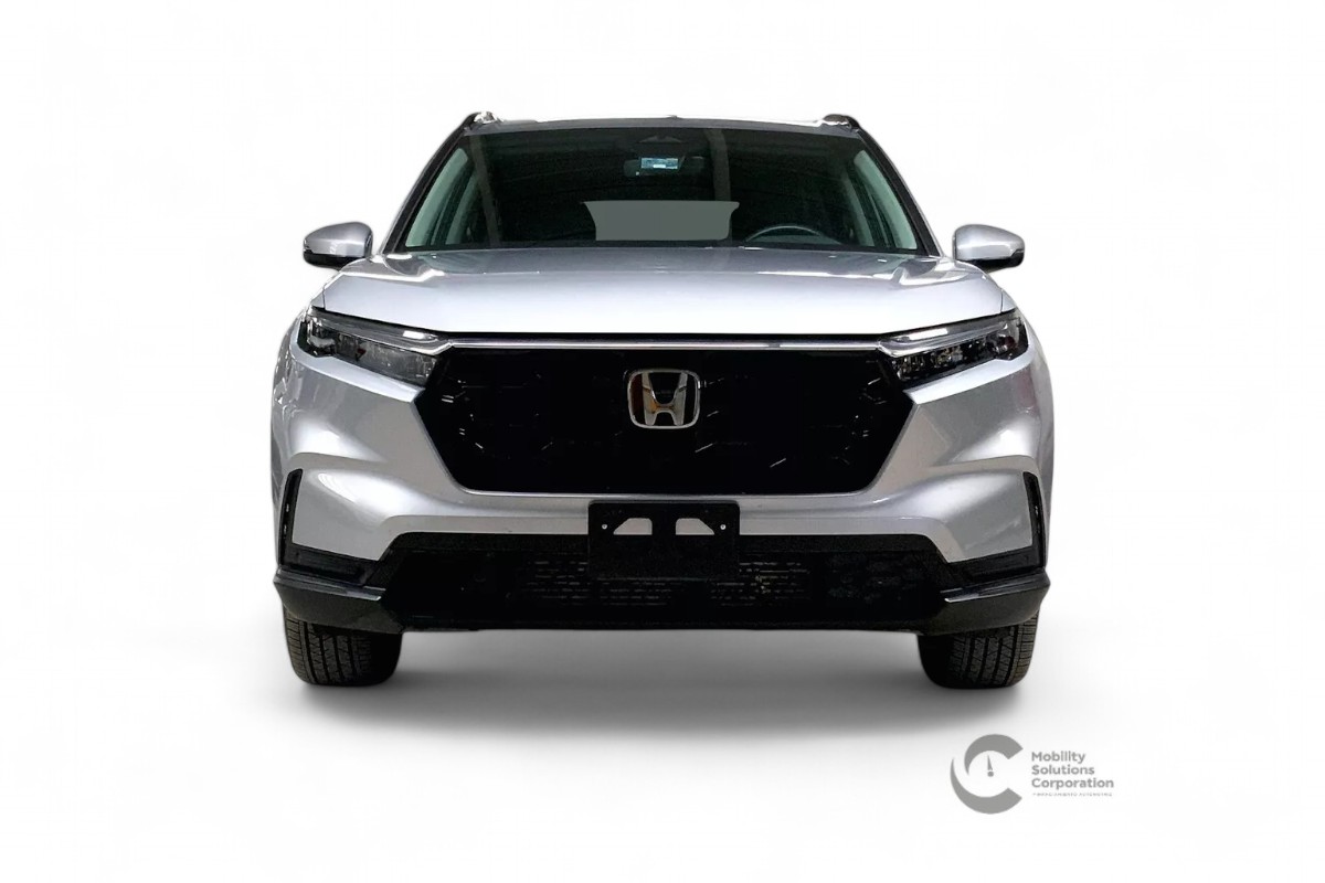 Auto 1